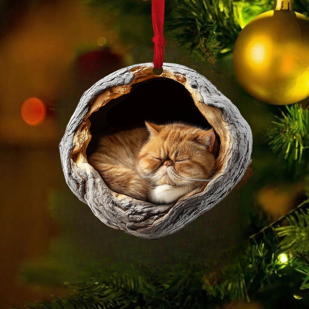 Exotic Shorthair Cat - Animal Christmas Ornament CH245