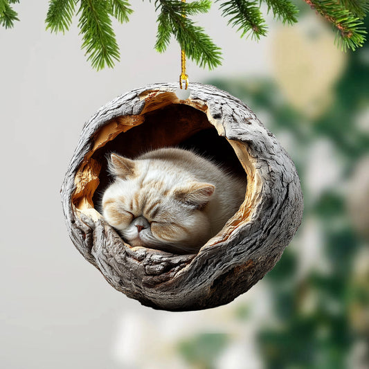 Exotic Shorthair Cat - Animal Christmas Ornament CH246