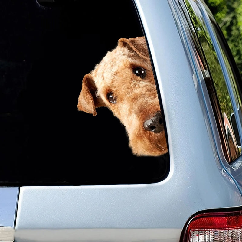 Airedale Terrier Dog - Peekaboo Dog Head Car Sticker - DS025