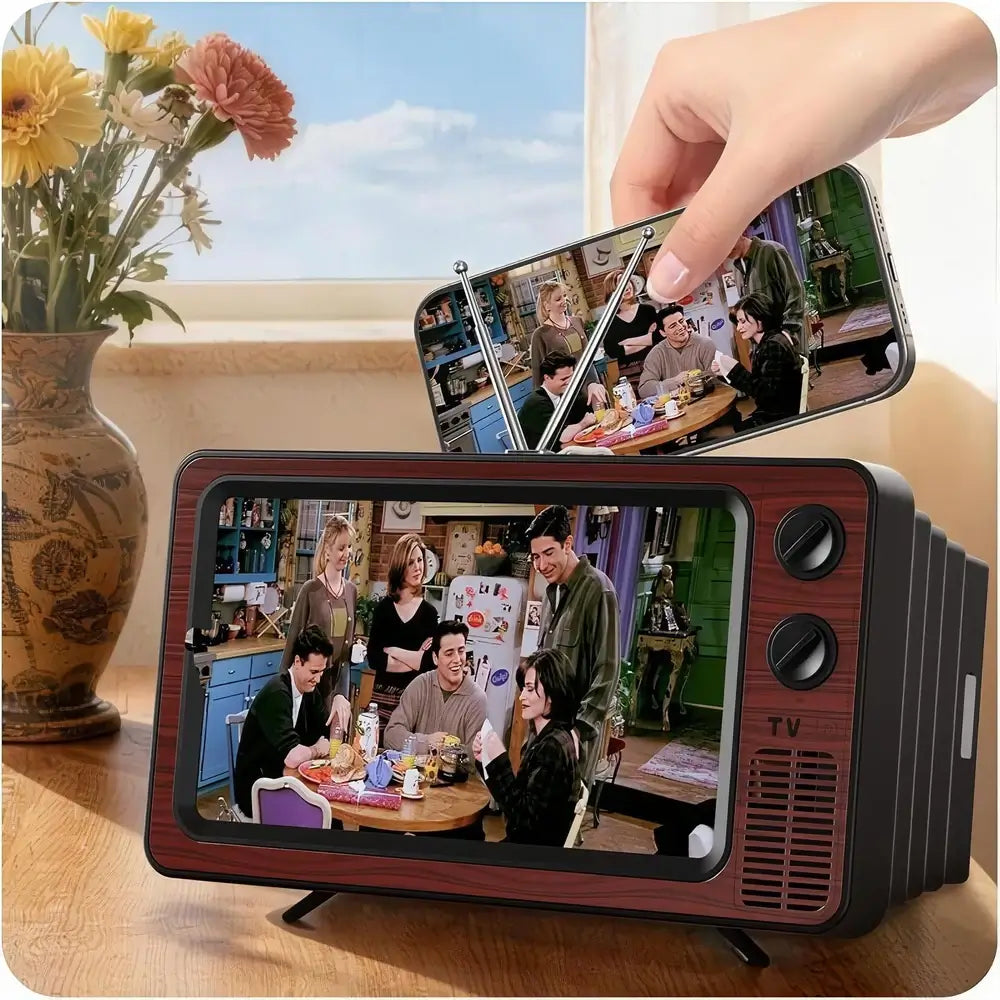 Small TV set displaying a scene from a sitcom, held by a hand with a vase of flowers in the background.