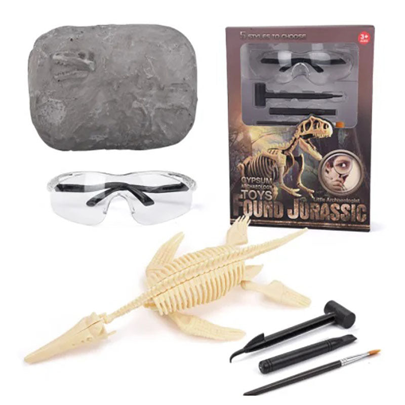 Dinosaur Fossil Digging Kit