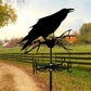 Crow Stainless Steel Weathervane MW018