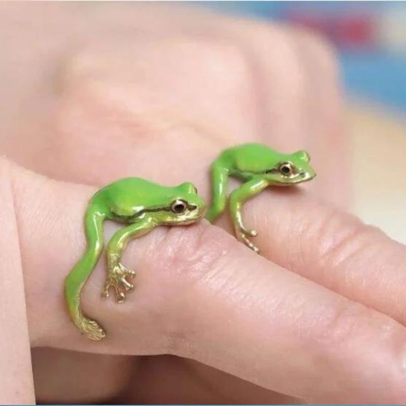 Tree Frog Ring & Earrings