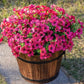 Rainproof Lifelike Artificial Flowers With UV-Shield Coating