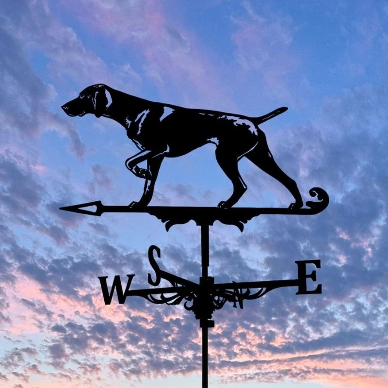 German Shorthaired Pointer Dog Stainless Steel Weathervane MW108