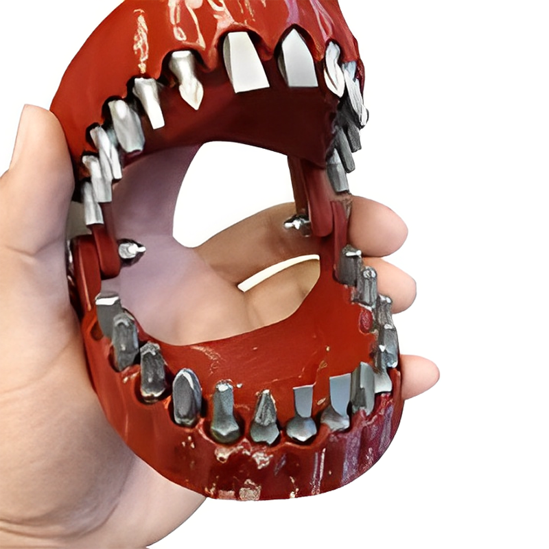 Denture Drill Bit Holder with 28 Bits Set