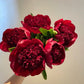 The Sacred Bonsai Bowl Lotus Flower Seeds