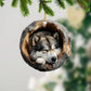 Sleeping Alaskan Malamute - Animal Christmas Ornament CH167