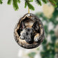 Belgian Malinois - Animal Christmas Ornament CH172
