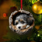 Bernedoodle - Animal Christmas Ornament CH174