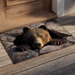 Forest Den Watcher - 3D Illusion Area Rug - H628