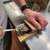 Oyster Shucking Clamp