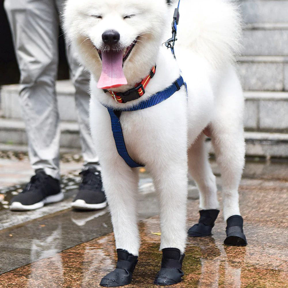 Waterproof Silicone Dog Rain Boots - 4-Pack