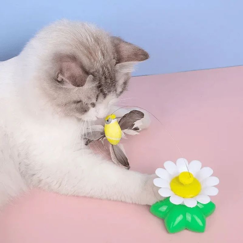 Interactive Flying Bird Cat Toy