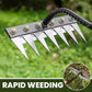 The lron Weeding Rake