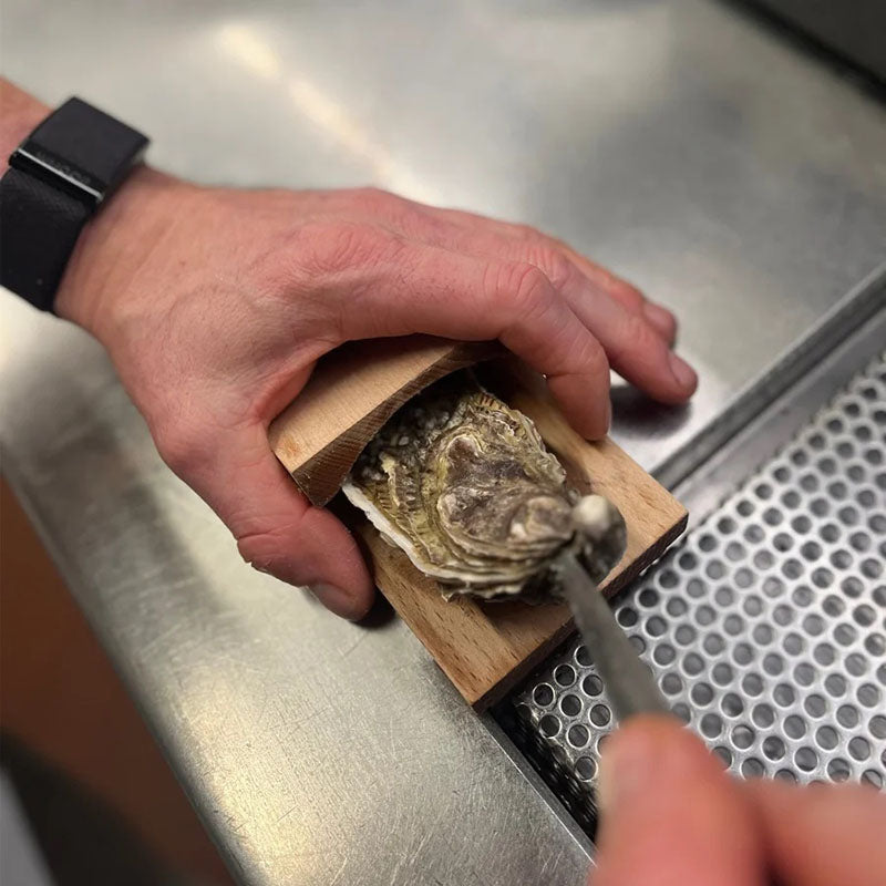 Oyster Shucking Clamp