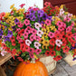 Rainproof Lifelike Artificial Flowers With UV-Shield Coating