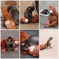 Emotional Support Monkey Coin