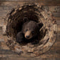 Bear Burrow - 3D Illusion Bear Round Rug - D542