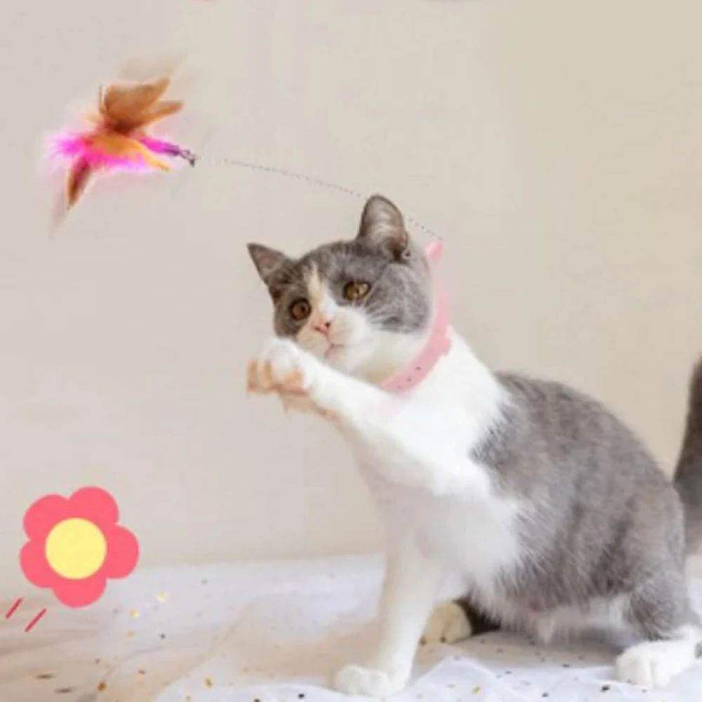 Pet Feather Wand with Flexible Steel Wire and Colorful Feathers for Interactive Cat Play