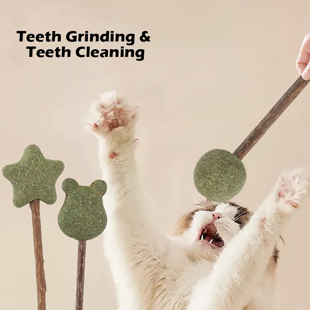 Mint Catnip Dental Chew Stick – Natural Silvervine Teething & Breath Freshening Cat Toy