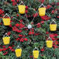 Ferris Wheel Bird Feeder - The Best Entertainment Show Outside the Window