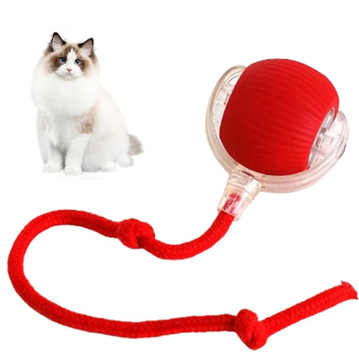 Smart Interactive Pet Toy Ball