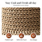Elegant Woven Straw Sun Hat with Bow