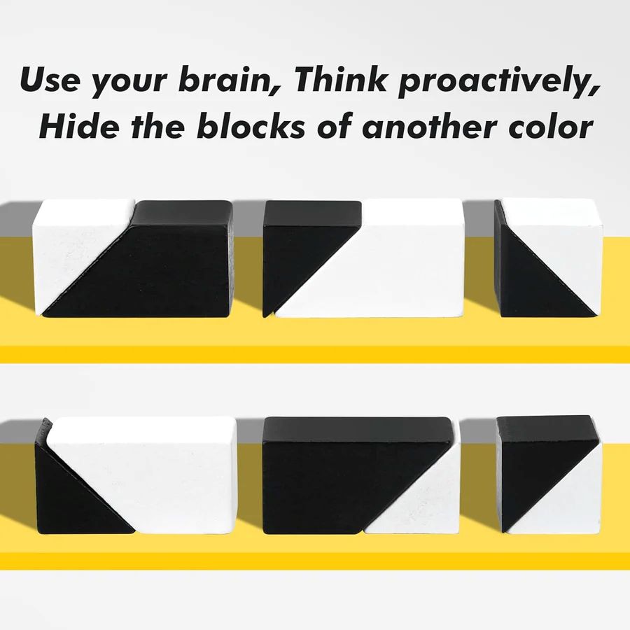 Pocket-Size Dual-Color Logic Puzzle