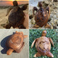 Hawaiian Turtle WoodCarving