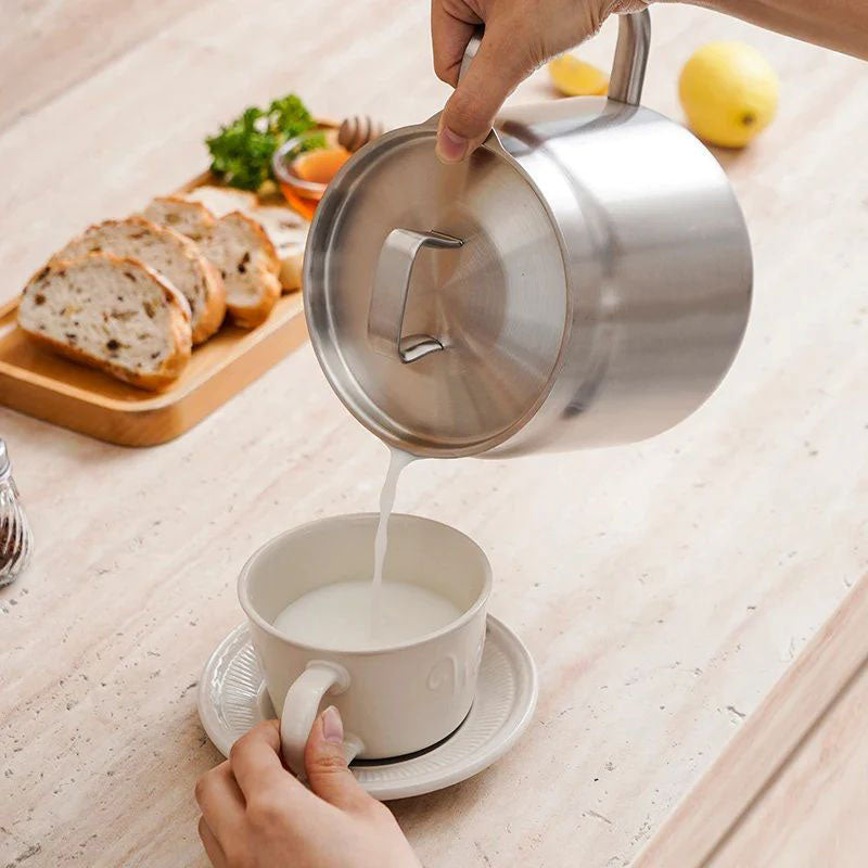 Stainless Steel Fryer