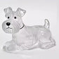 Dog Hair Collector Keychain Charm Memorial Storage Box