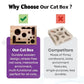 Cat Scratch Puzzle Enrichment Box: Nail File Stress Free Alternative to Clippers and Grinders