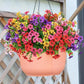 Rainproof Lifelike Artificial Flowers With UV-Shield Coating