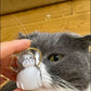 Fur-ever Loved Cat Hair Memorial Pendant
