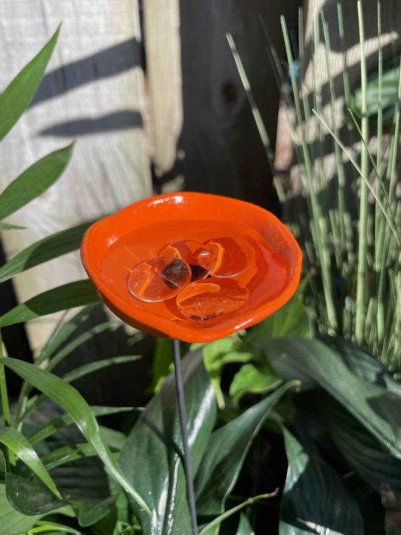 Bee Watering Station, Butterfly Puddler, Hummingbird Drinking Cups