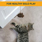 Realistic Mouse Cat Toy Set 2 Pieces
