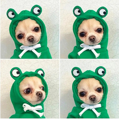 Cute Frog Pet Clothes