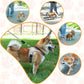 Breathable Dog Harness with Reflective Leash