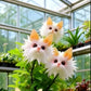 Cat's Eye Dazzling Seeds