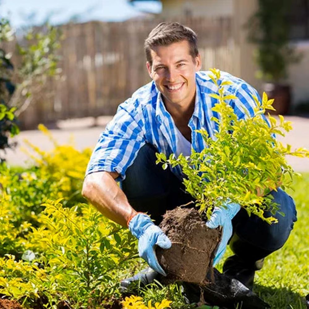Soil Pro Activator