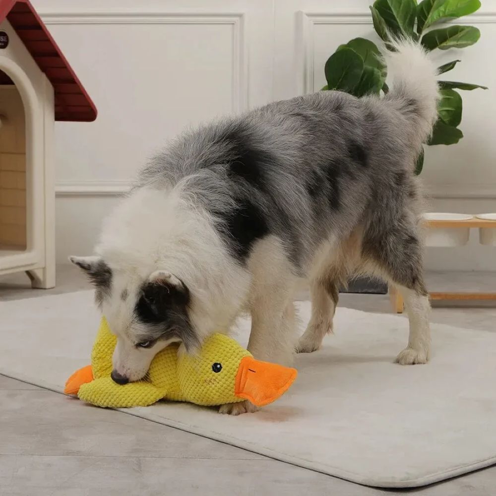 Calming Duck Plush Toy For Dogs – Anxiety Relief & Comfort Toy