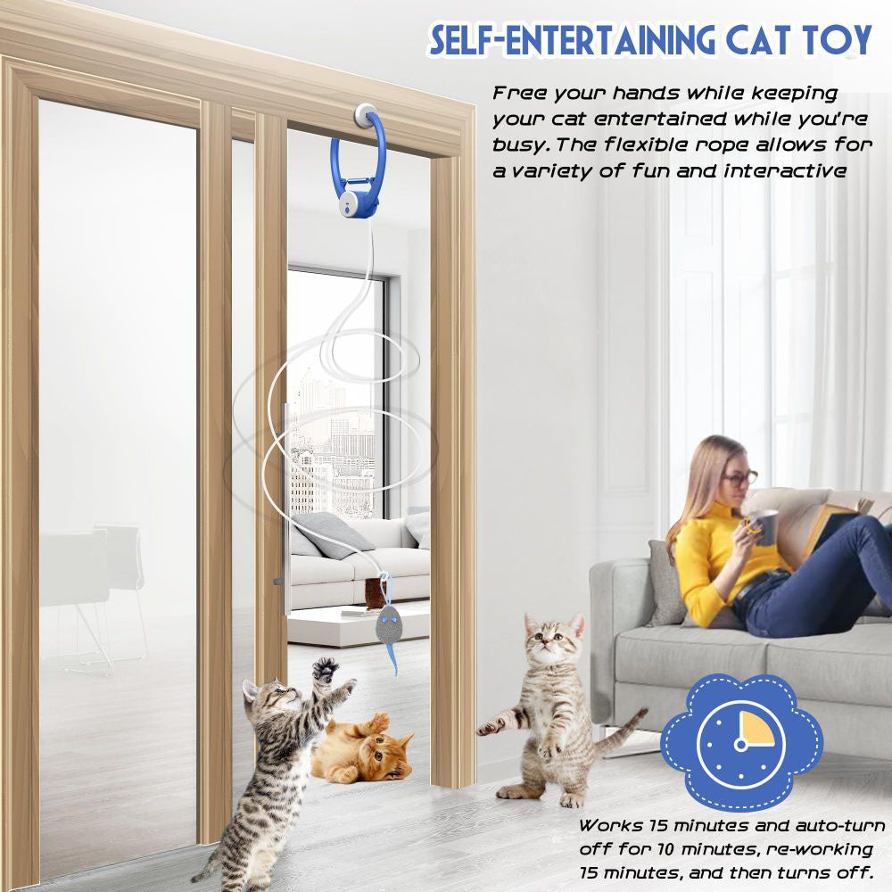 Door Hanging Interactive Pet Toy – Automatic Swing & Bounce Tease