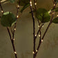 Fairy Light Olive Vine