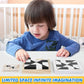 Pocket-Size Dual-Color Logic Puzzle