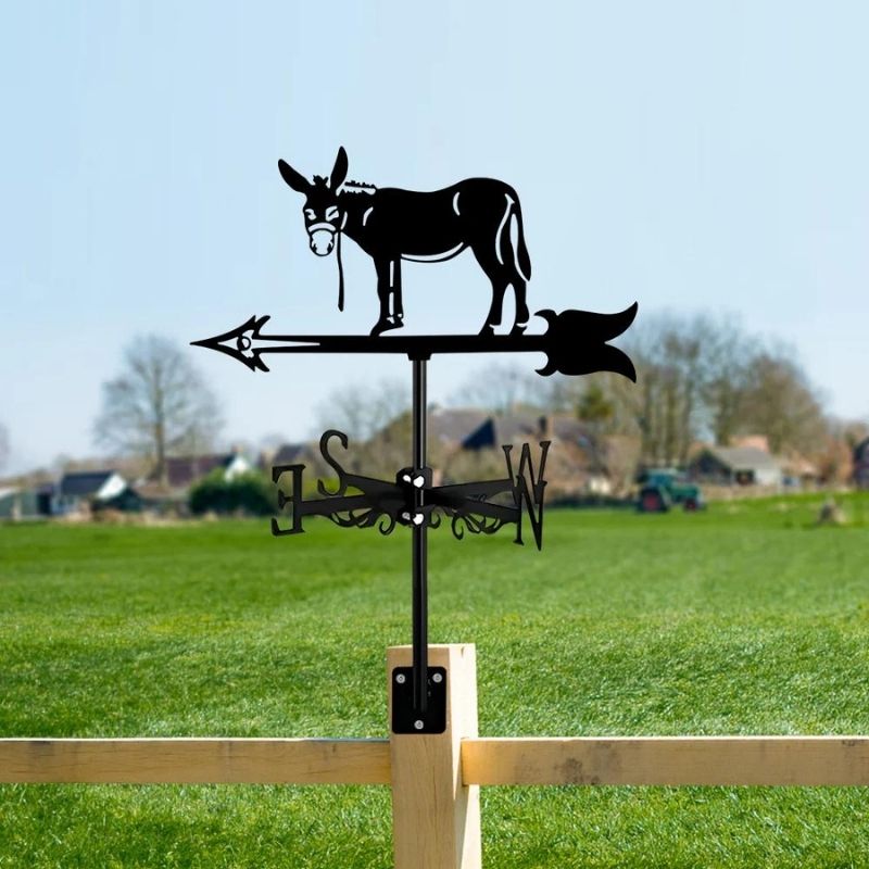 Donkey Stainless Steel Weathervane MW042