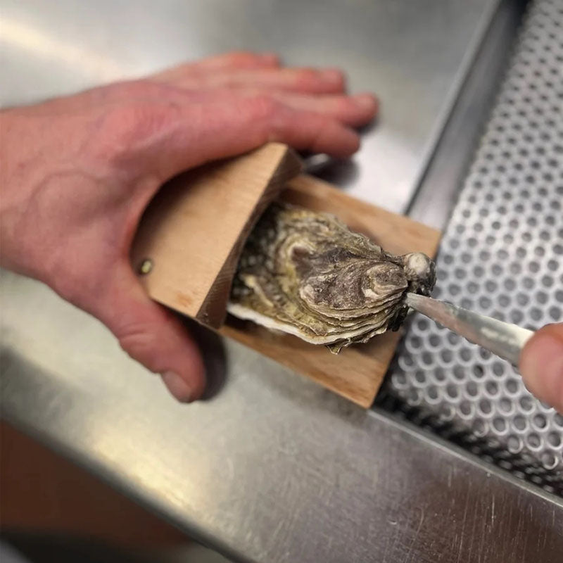 Oyster Shucking Clamp