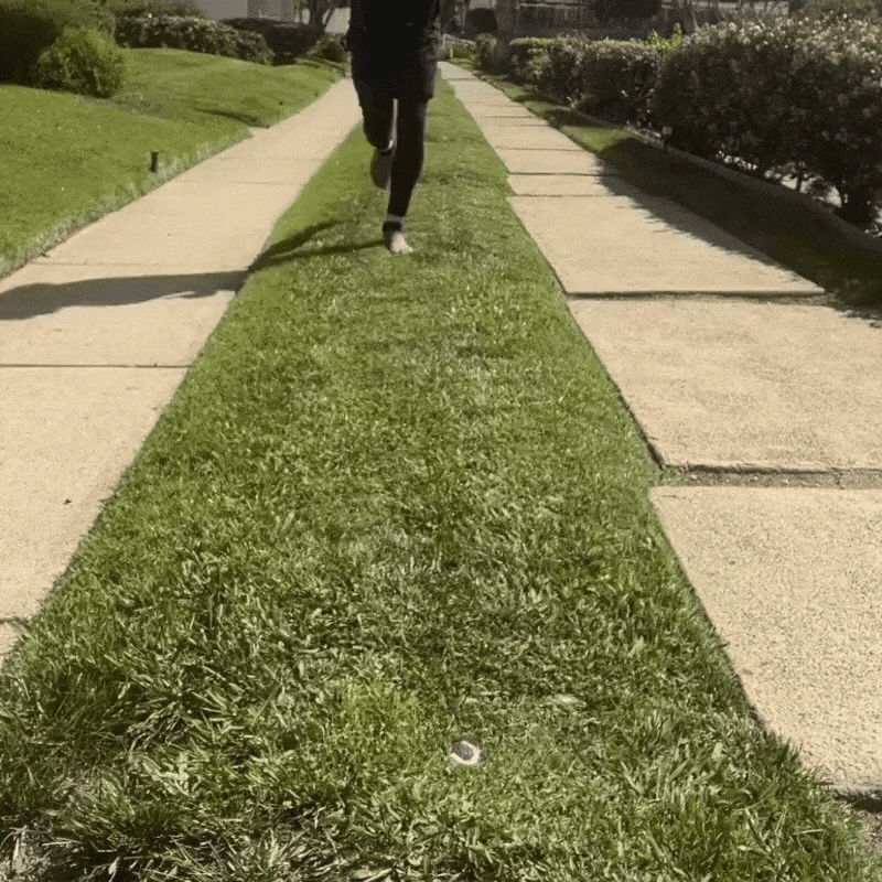 SuperSocks (One Size Fits All)