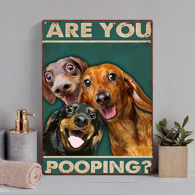 Are You Pooping Funny Dogs - Metal Sign - Gifts For Pet Lovers Personalized Custom Metal Sign