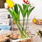 Acrylic Book Vase
